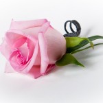 Package - Rose boutonniere